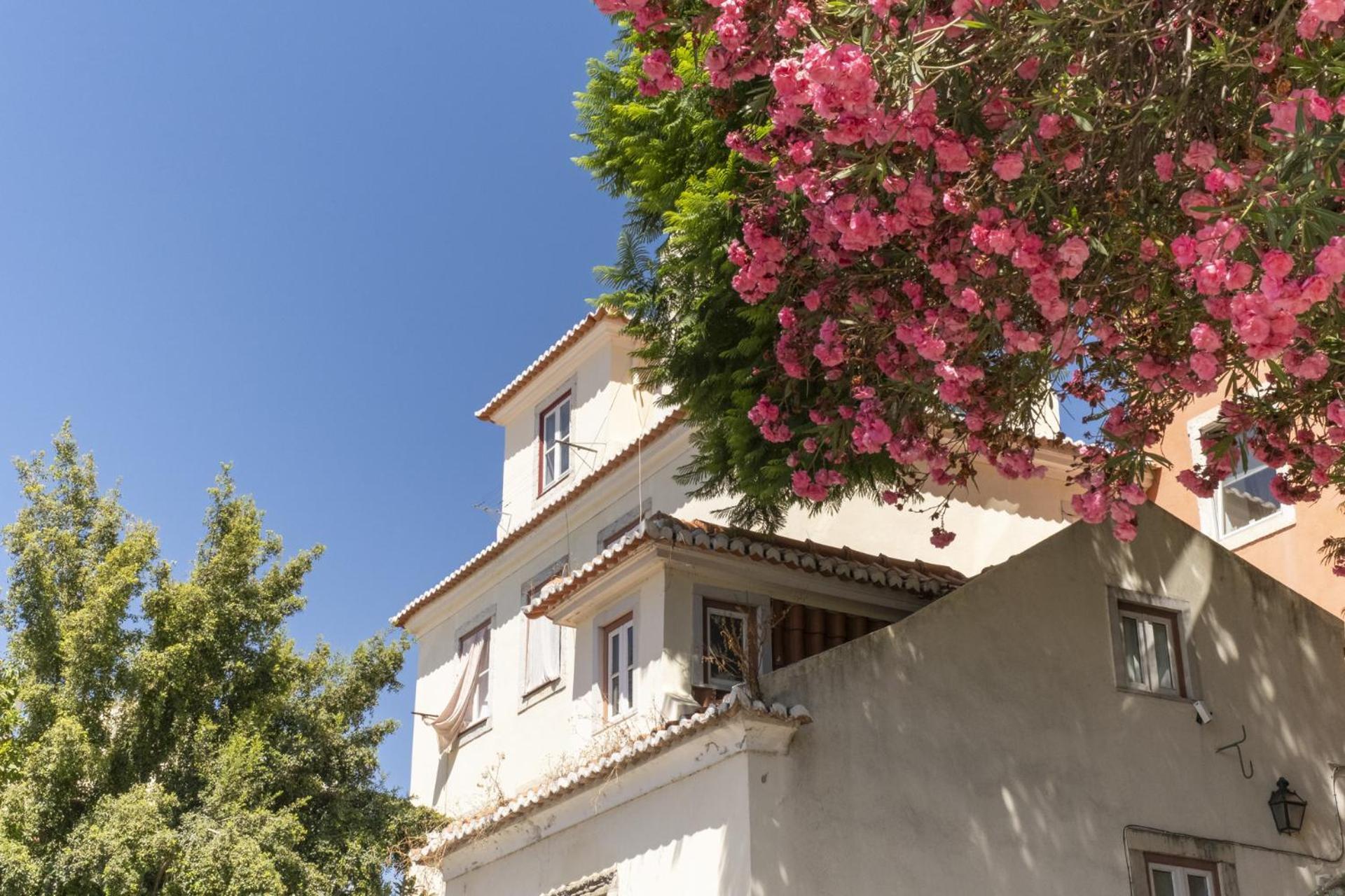 Duplex No Centro Historico De Lisboa - Ttl321公寓 外观 照片
